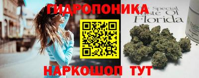 прущие грибы Конаково