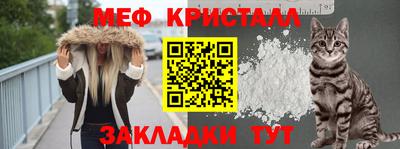прущие грибы Конаково