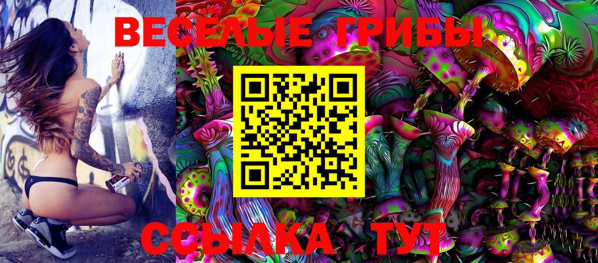 Кудымкар  Галлюциногенные грибы Psilocybine cubensis  Вход с VPN 