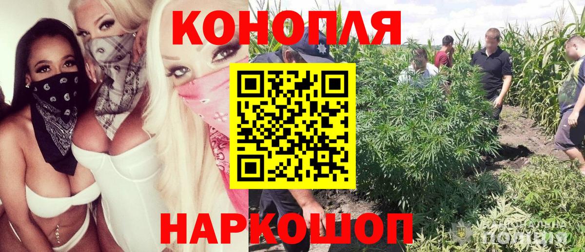 Кудымкар  Бошки марихуана White Widow  МАРИХУАНА THC 21%  Вход с VPN  Шишки марихуана ГИДРОПОН 